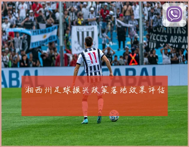 湘西州足球振兴政策落地效果评估