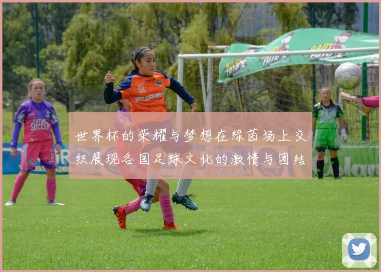 世界杯的荣耀与梦想在绿茵场上交织展现各国足球文化的激情与团结