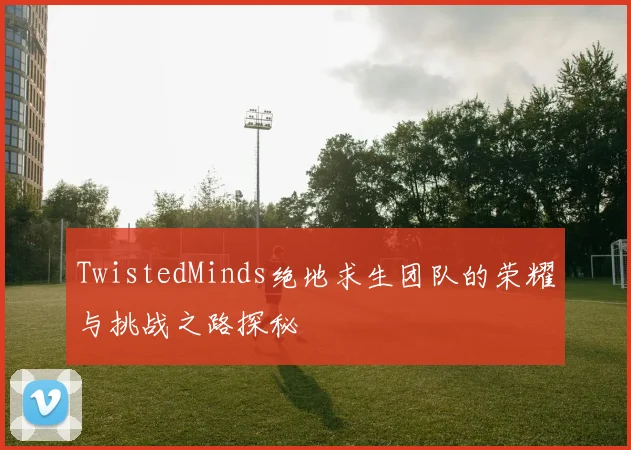 TwistedMinds绝地求生团队的荣耀与挑战之路探秘
