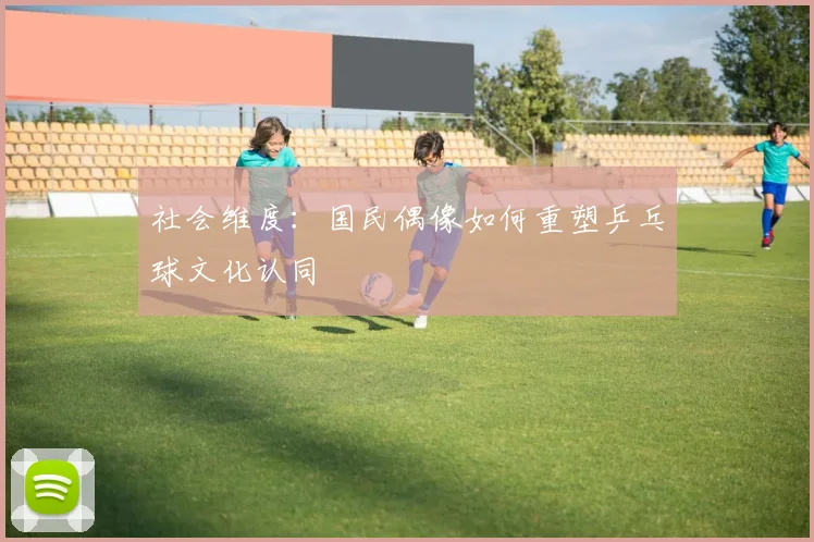 社会维度：国民偶像如何重塑乒乓球文化认同