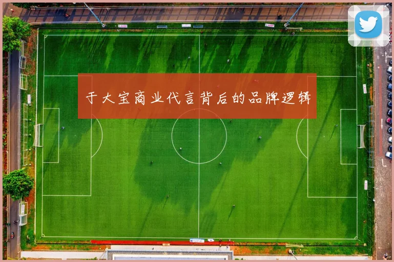 于大宝商业代言背后的品牌逻辑