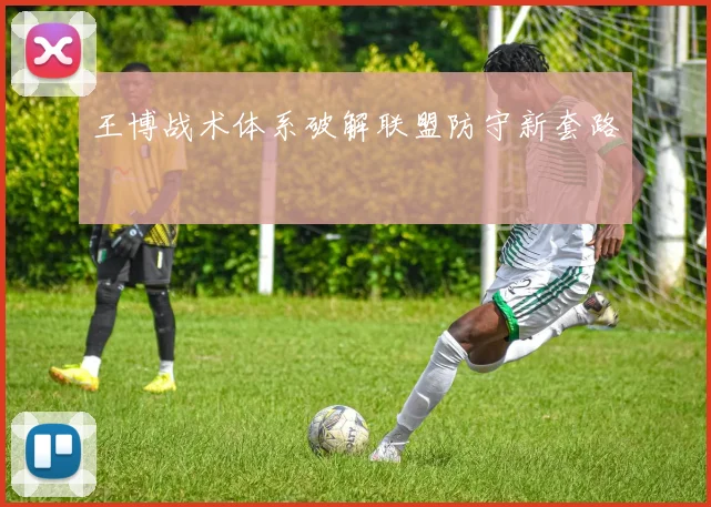 王博战术体系破解联盟防守新套路