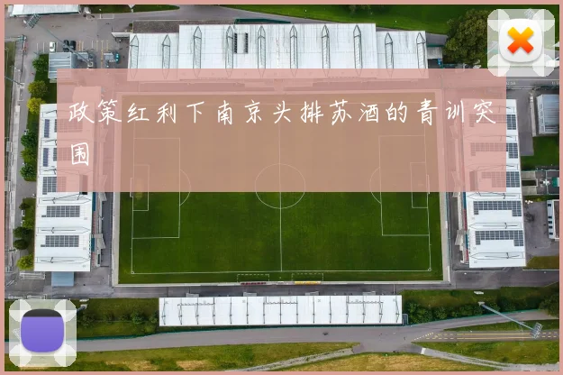 政策红利下南京头排苏酒的青训突围