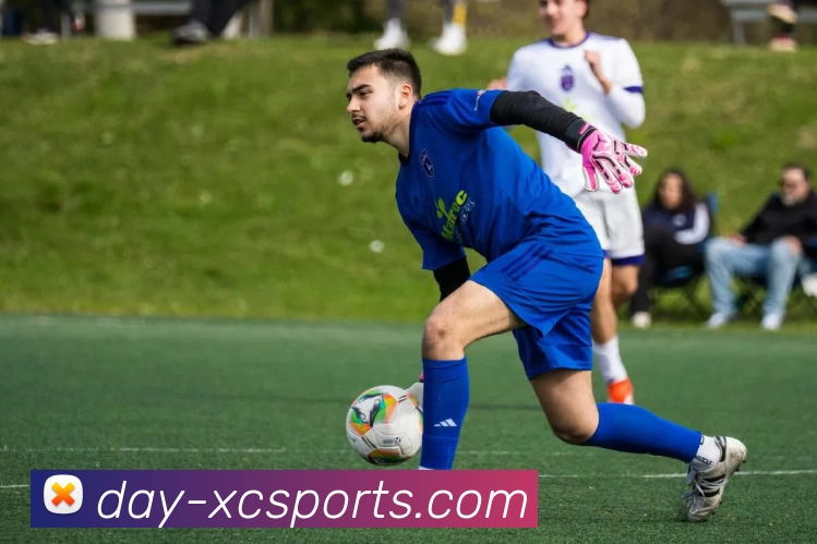 App Interface Preview